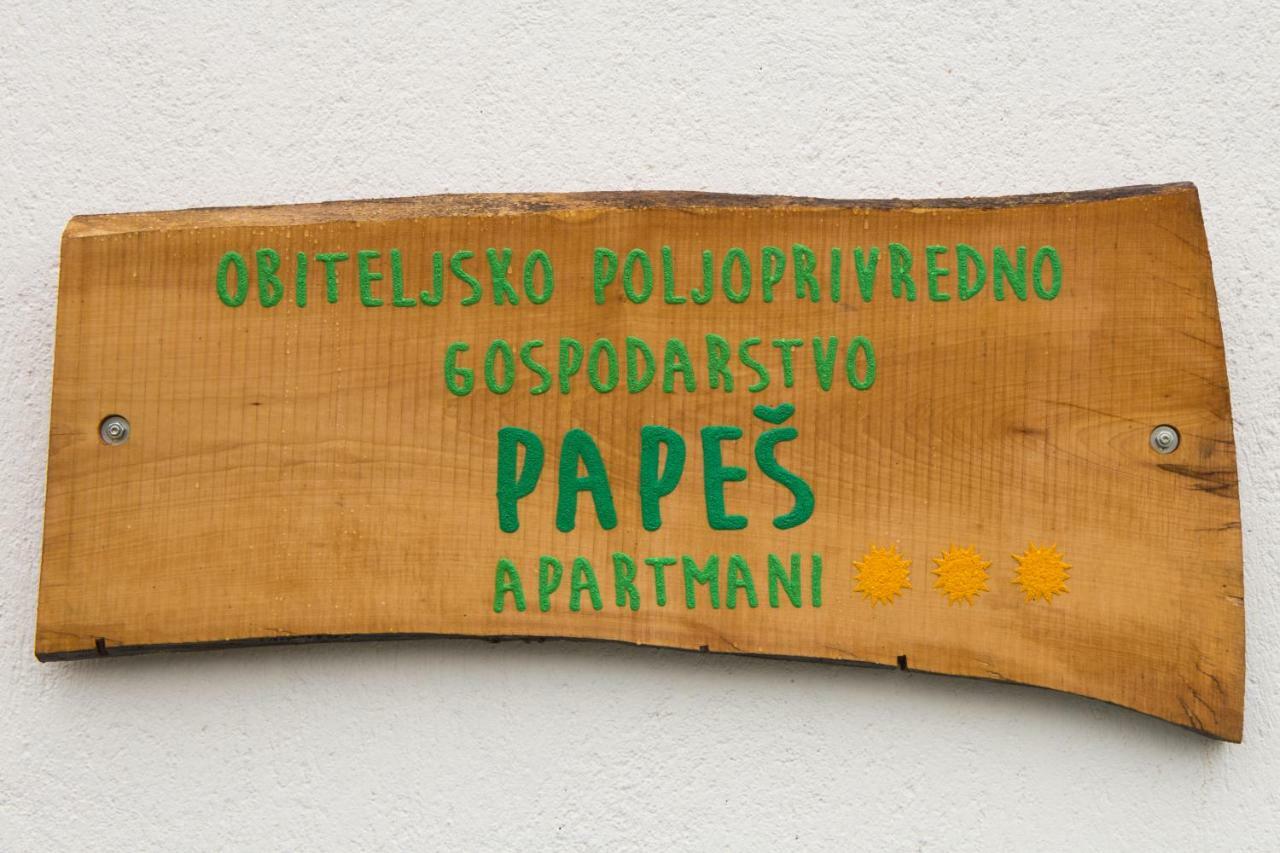 Apartmani Papes Krapina Eksteriør bilde